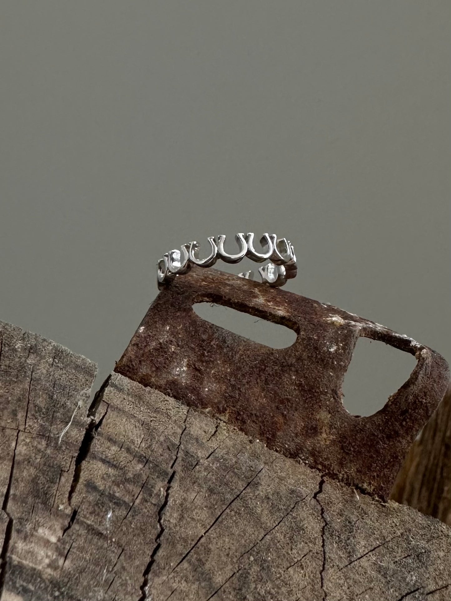 Horseshoe ring