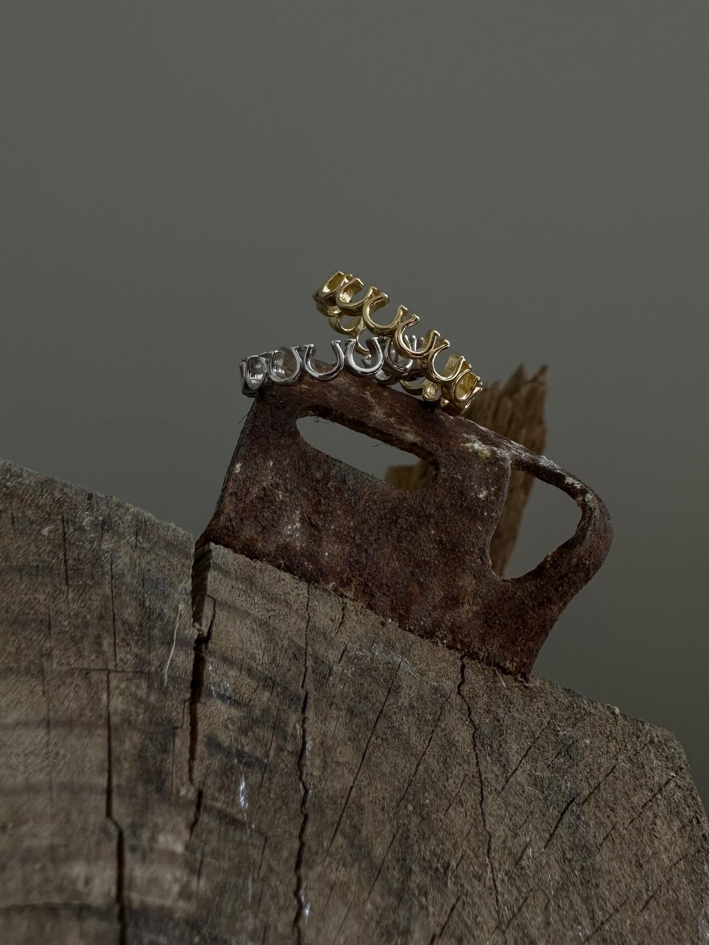Horseshoe ring